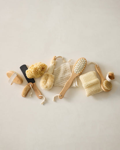 LOTUS WOOD COMPLEXION BRUSH | Talbots